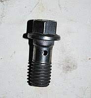 Genuine Hollow Brake Caliper Screw - 13112908